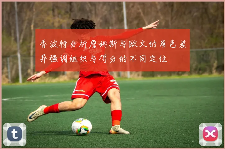 香波特分析詹姆斯与欧文的角色差异强调组织与得分的不同定位