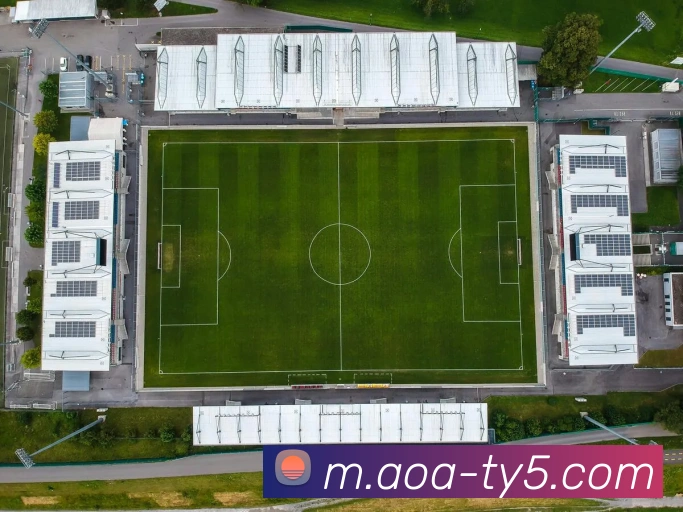 体育赛事